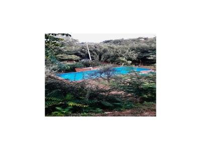 Holiday house Bauernhof in der Toskana mit Pool & Montecastello - Outdoor photo 7