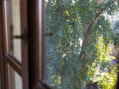 Holiday house Bauernhof in der Toskana mit Pool & Montecastello - Outdoor photo 37