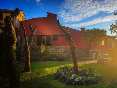 Villa The Boat  - Biodola beach - Outdoor photo 7