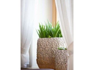 Apartment Ferienwohnung "Moselperle" - Outdoor photo 9