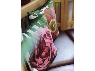 Apartment Ferienwohnung "Moselperle" - Outdoor photo 31