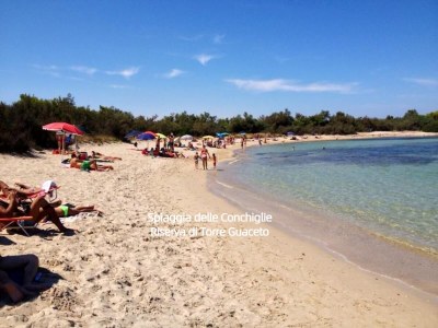 Holiday house Lamia del Vespro - Environment photo 32