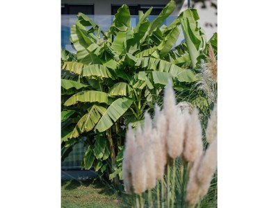 Holiday apartment Garden Lodge "Olive" - Outdoor photo 5