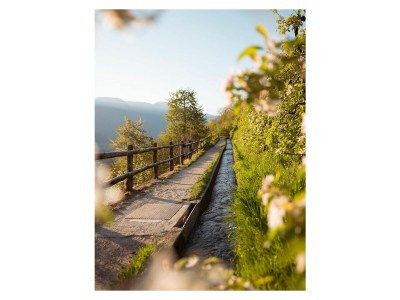 Holiday apartment Garden Lodge "Olive" - Environment photo 12