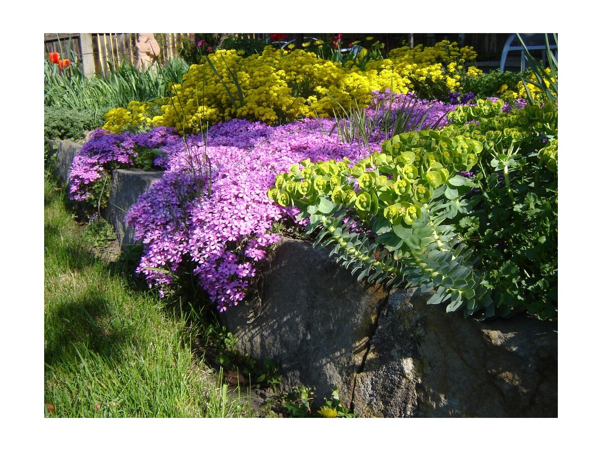 Holiday apartment No title - Outdoor photo 4