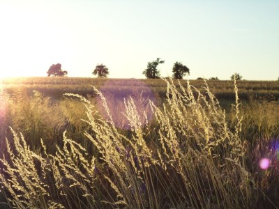 Holiday apartment No title - Environment photo 14