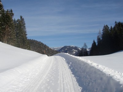 Holiday house Manfred Sander - Environment photo 12