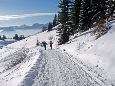 Holiday house Manfred Sander - Environment photo 13