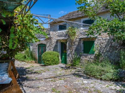 Villa Lastavica Pod Ruzon - Environment photo 31