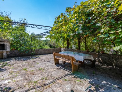 Villa Lastavica Pod Ruzon - Environment photo 32