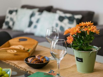 Apartment Villa Dora - Apt 1 "Green" - Features photo 16