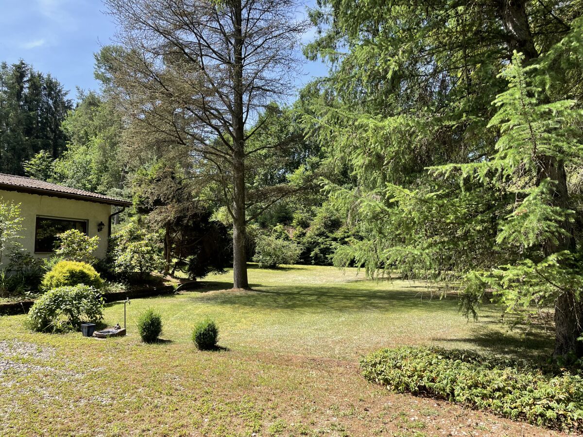 Holiday house Gesundheit im Wald - Outdoor photo 3