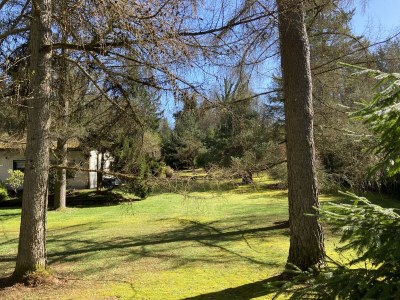 Holiday house Gesundheit im Wald - Outdoor photo 7