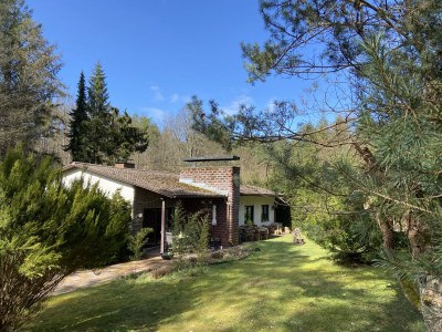 Holiday house Gesundheit im Wald - Outdoor photo 9