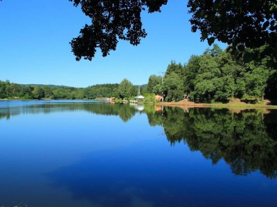 Holiday house Gesundheit im Wald - Environment photo 30
