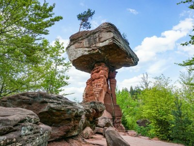 Holiday house Gesundheit im Wald - Environment photo 31