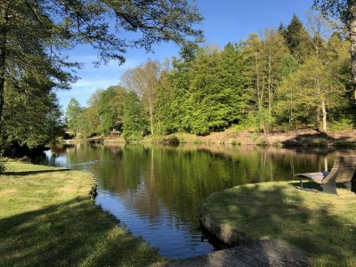 Holiday house Gesundheit im Wald - Environment photo 32