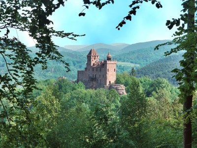 Holiday house Gesundheit im Wald - Environment photo 33