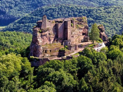 Holiday house Gesundheit im Wald - Environment photo 34
