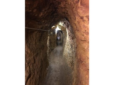 Holiday house Gesundheit im Wald - Environment photo 35