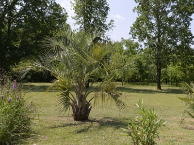 Villa Villa DUXCAAR Beaumont-du-Périgord - Outdoor photo 13