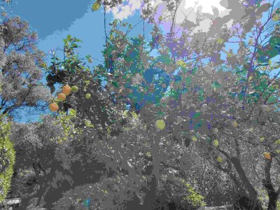 Holiday house Villa Borgo  Barlina - Outdoor photo 12