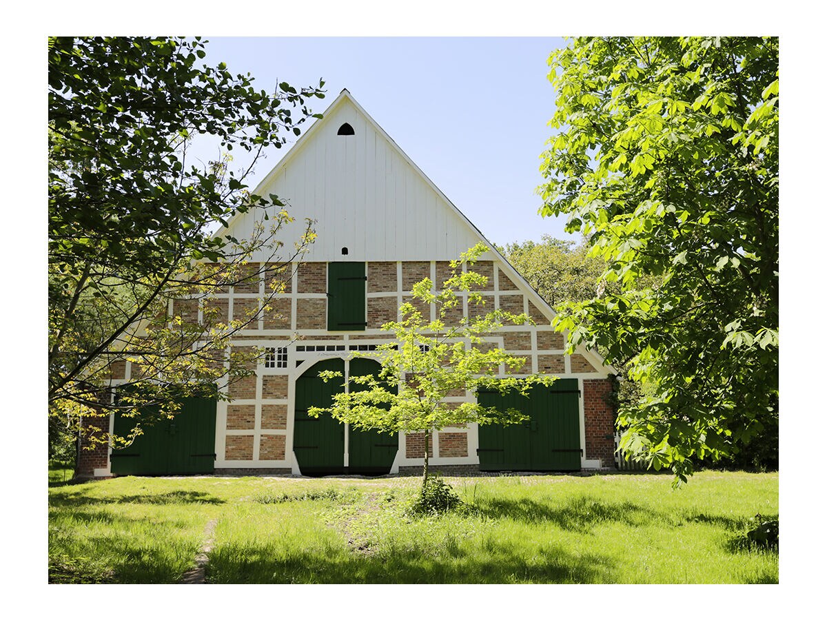 Holiday house No title