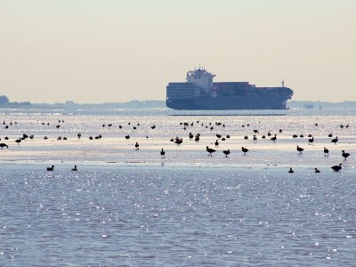 Holiday house No title - Environment photo 20