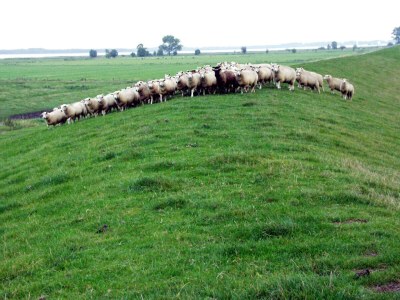 Holiday house No title - Environment photo 25