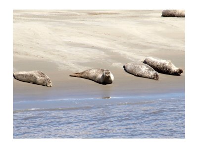 Holiday house No title - Environment photo 27