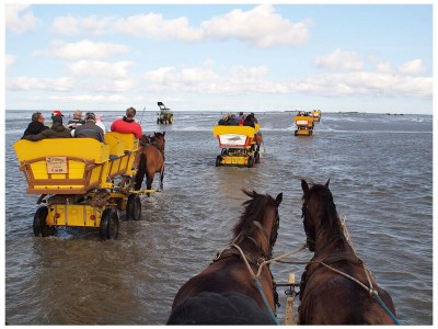 Holiday house No title - Environment photo 29