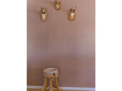 Holiday apartment AusZeit - Features photo 20