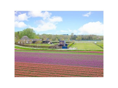 Holiday house De Heerlijkheid Wimmenum - Outdoor photo 3