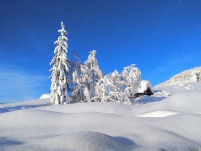 Holiday apartment Berghaus-Lesachtal - Outdoor photo 12