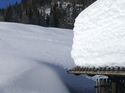 Holiday apartment Berghaus-Lesachtal - Outdoor photo 13