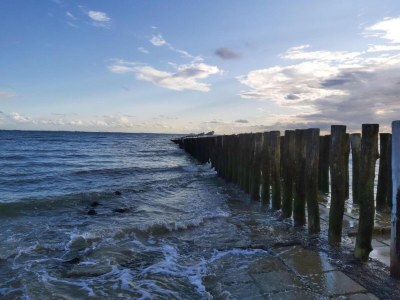 Apartment Apartment in Zoutelande by the Beach - Environment photo 27