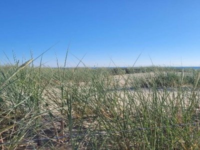 Apartment Apartment in Zoutelande by the Beach - Environment photo 28