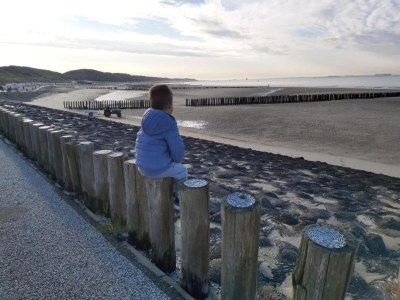 Apartment Apartment in Zoutelande by the Beach - Environment photo 36