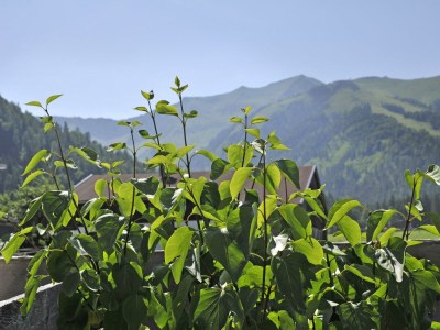 Apartment Rofan - Outdoor photo 19