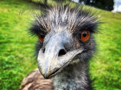 Holiday apartment Goiseram - Outdoor photo 6