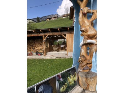 Holiday apartment Goiseram - Outdoor photo 14