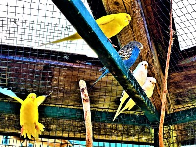 Holiday apartment Goiseram - Outdoor photo 16