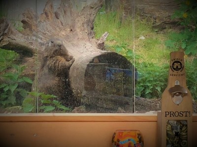 Holiday apartment Goiseram - Outdoor photo 17