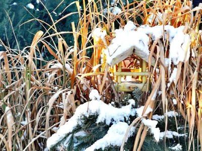 Apartment Hübsche Ferienwohnung in Lubmin mit Blick auf Rügen - Environment photo 23