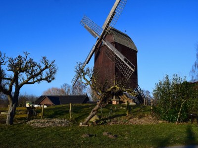 Apartment Hübsche Ferienwohnung in Lubmin mit Blick auf Rügen - Environment photo 28