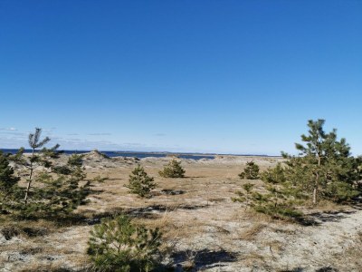 Apartment Hübsche Ferienwohnung in Lubmin mit Blick auf Rügen - Environment photo 29