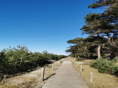 Apartment Hübsche Ferienwohnung in Lubmin mit Blick auf Rügen - Environment photo 30
