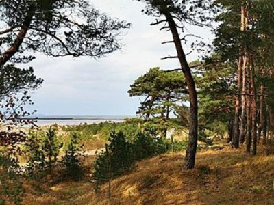 Apartment Hübsche Ferienwohnung in Lubmin mit Blick auf Rügen - Environment photo 32