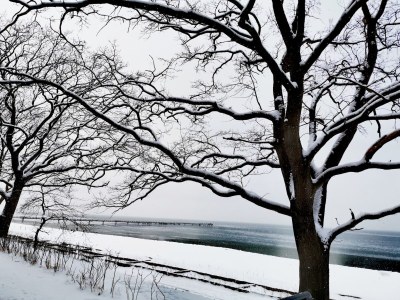 Apartment Hübsche Ferienwohnung in Lubmin mit Blick auf Rügen - Environment photo 39