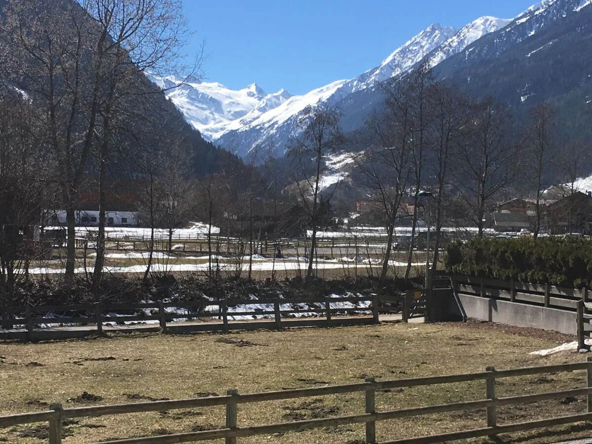 Holiday apartment Apartment Scheibe - Outdoor photo 5